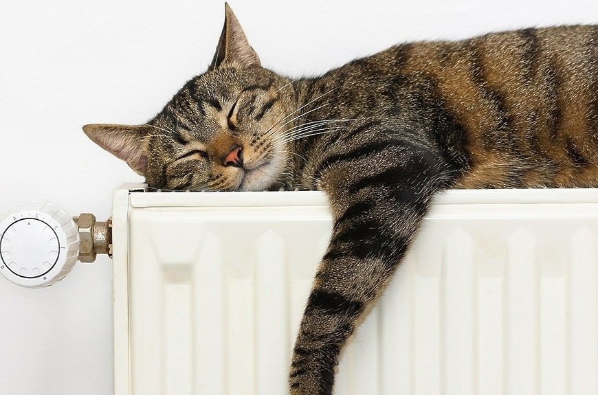 В Круглом включат отопление в учреждениях образования, здравоохранения и других объектах социальной сферы