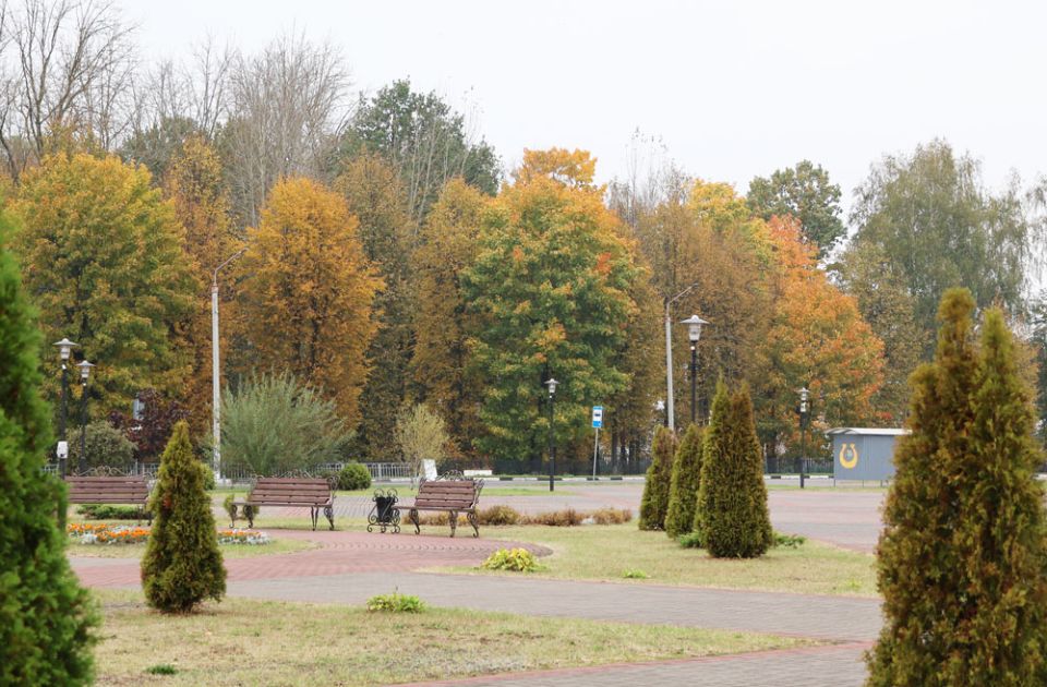 Без осадков и до +12°С будет сегодня в Беларуси 