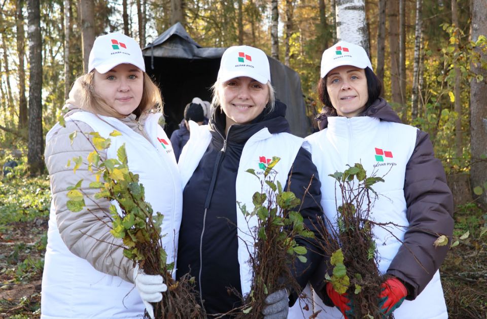 Трудовые коллективы Круглянщины во главе с председателем райисполкома Сергеем Ермолицким приняли участие в посадке леса