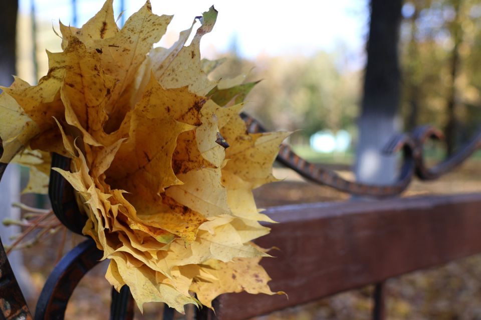 От +10 до +18°С ожидается сегодня в Беларуси