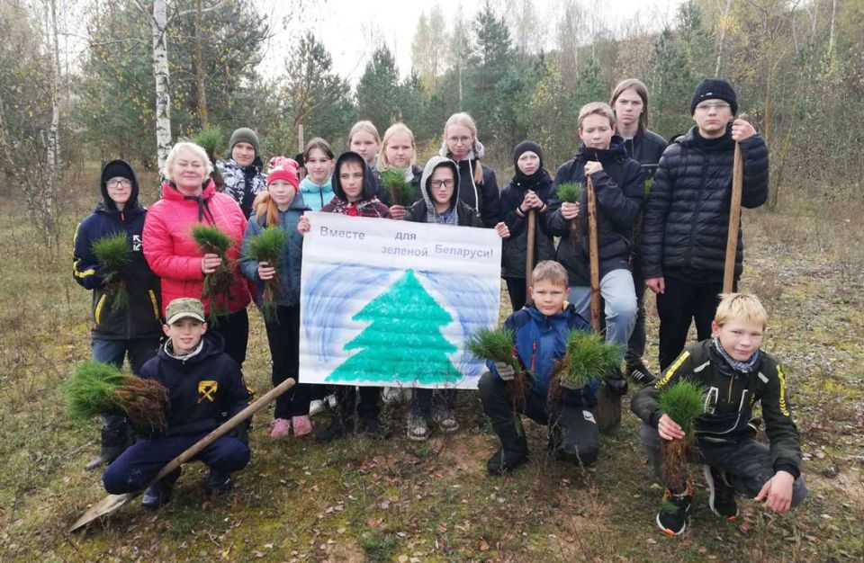 Более 300 саженцев сосны высадили в Тетерино