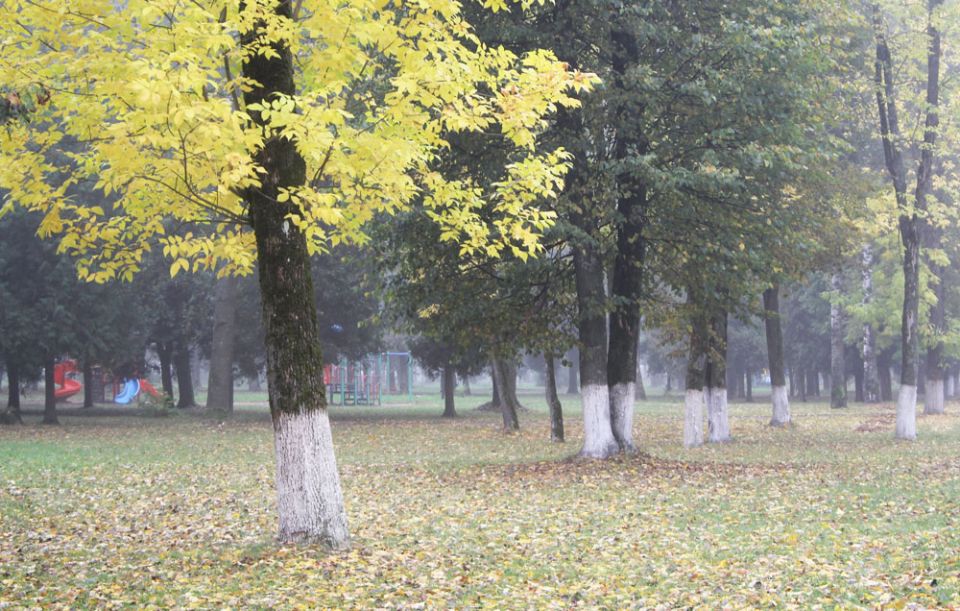 Осень – пора ярких красок