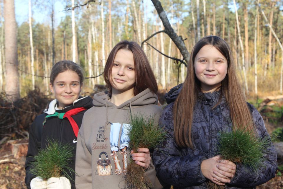 Акция «Дай лесу новае жыццё!» пройдет в Беларуси с 17 по 24 октября