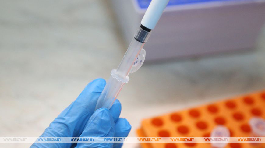 Эпидемию коклюша объявили в Новой Зеландии