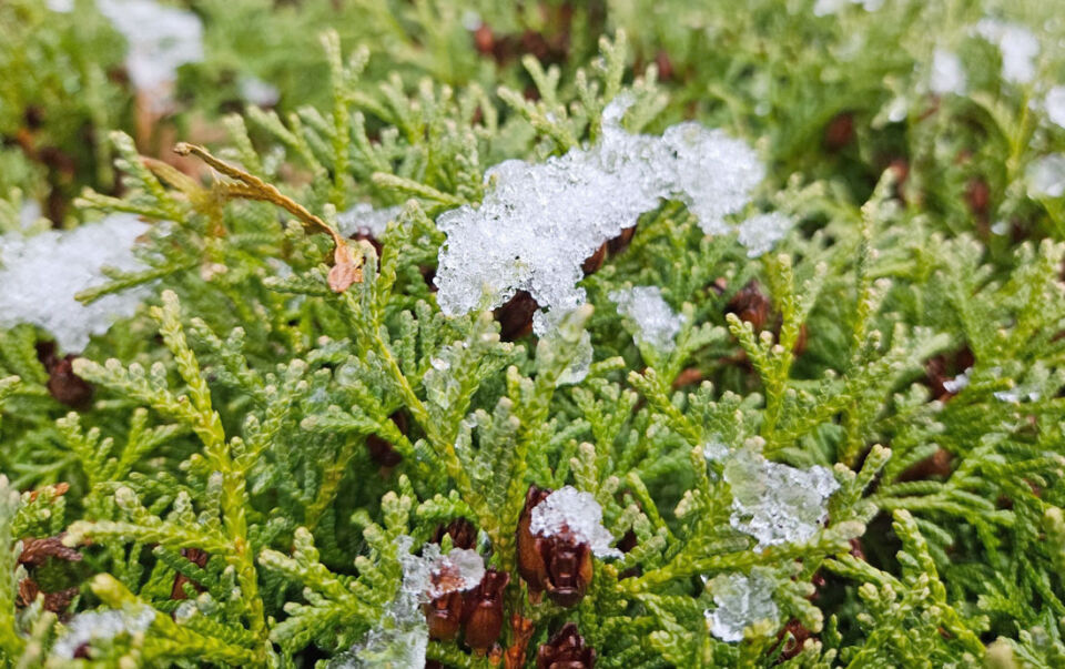 Народные приметы на 20 ноября 2025 года: что нельзя делать в Федотов день