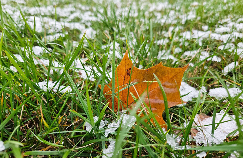 Порывистый ветер и гололед ожидается сегодня в Беларуси