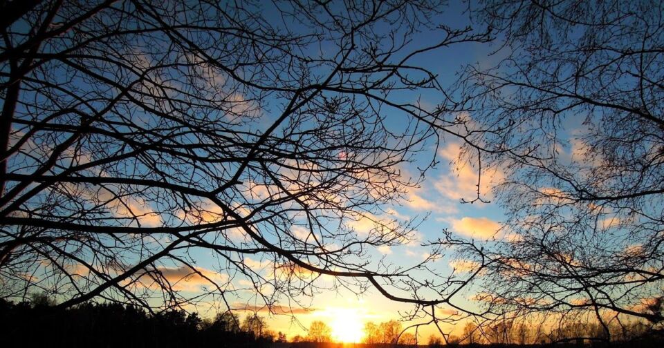 Облачная с прояснениями погода и местами кратковременные дожди прогнозируются в Беларуси