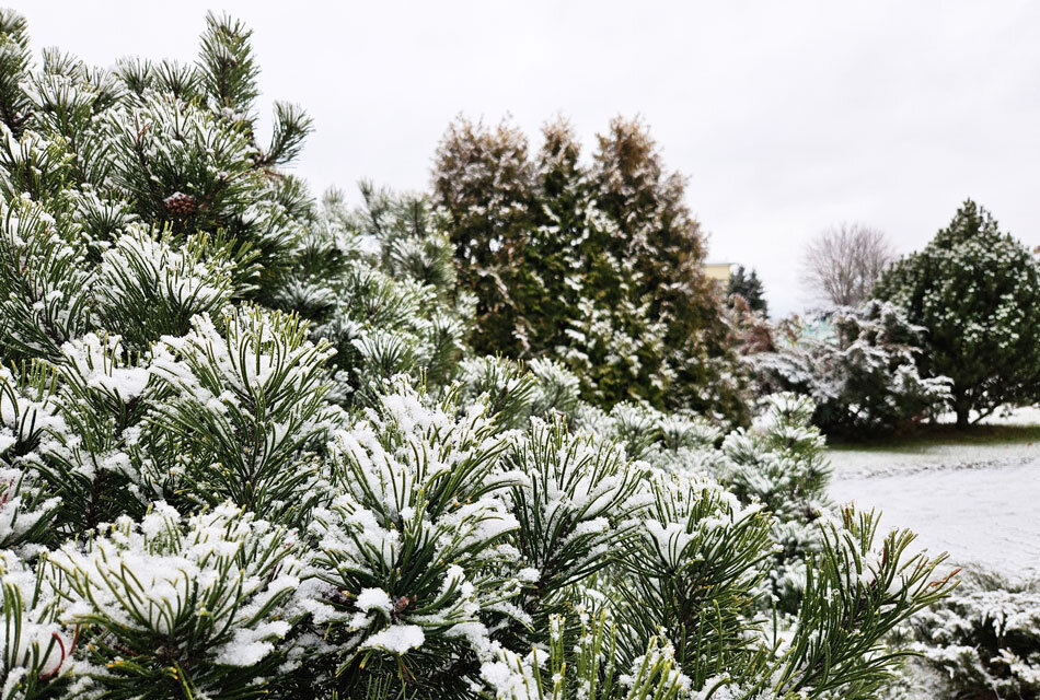 Приметы и поверья на 5 декабря: что нельзя делать на Прокопьев день