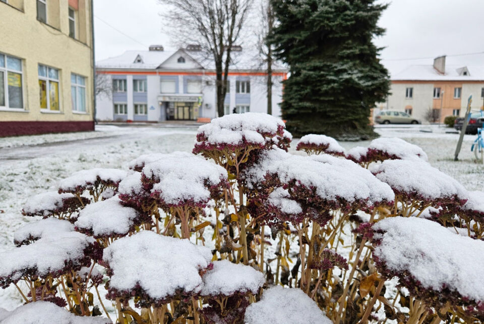 Приметы и поверья на 12 декабря: что нельзя делать в день Парамона Зимоуказателя