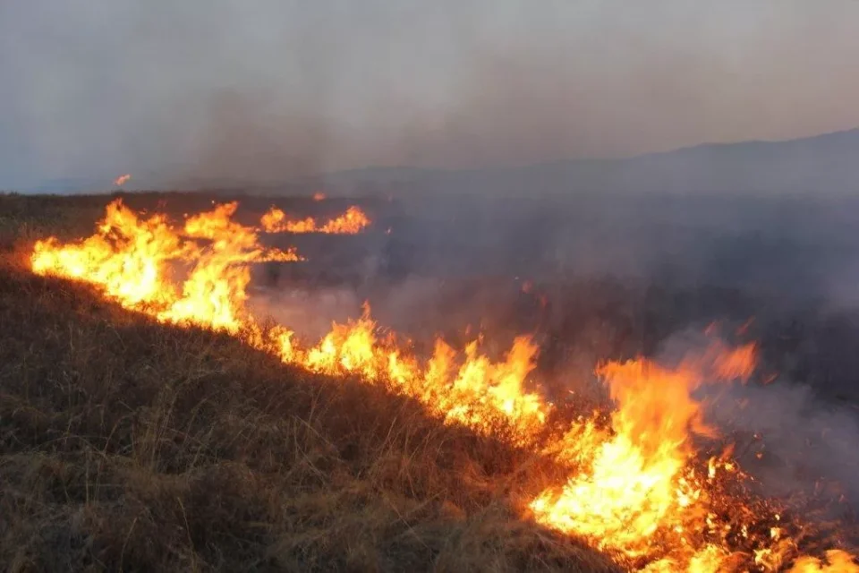 МЧС: около 3,3 тыс. загораний в природных экосистемах было зафиксировано с начала года