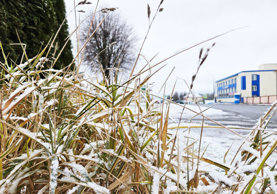 Где в Беларуси сегодня будет теплее всего, рассказали синоптики