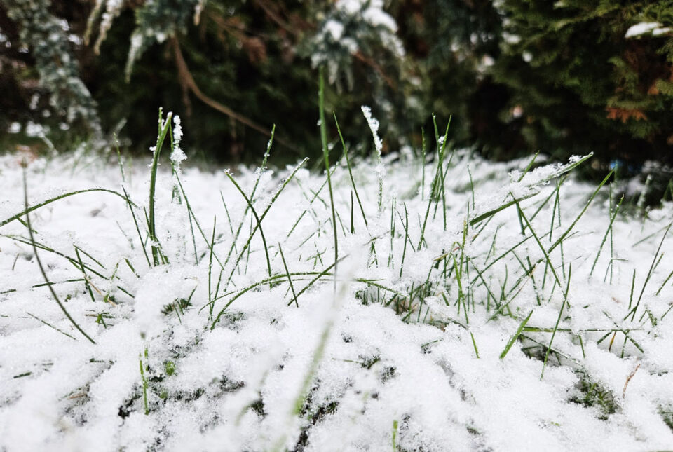 Приметы и поверья на 6 декабря: что нельзя делать на Митрофанов день