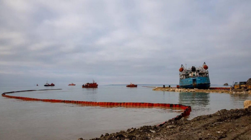 В Крыму и Севастополе нашли 34 мертвых дельфина после разлива мазута