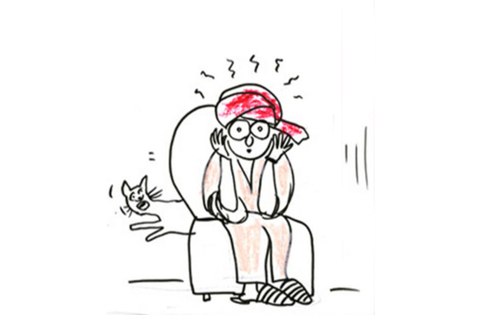 Соседей не выбирают