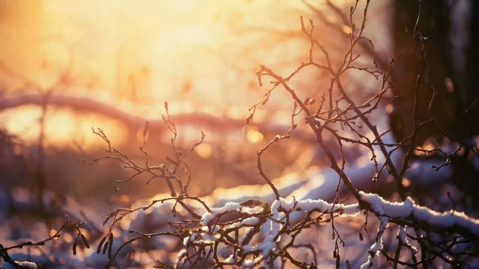 Гололедица и порывы ветра до 14 м/с. Какая погода сегодня будет в Беларуси