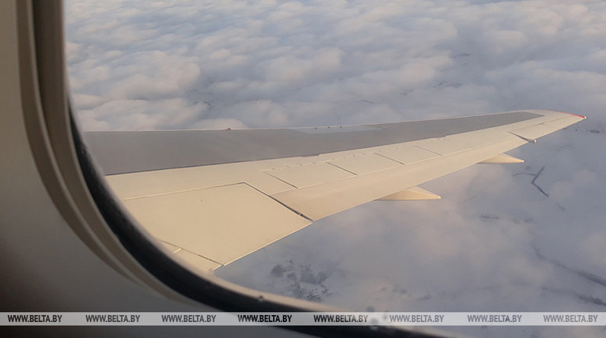 В США самолет совершил экстренную посадку из-за попадания кролика в двигатель