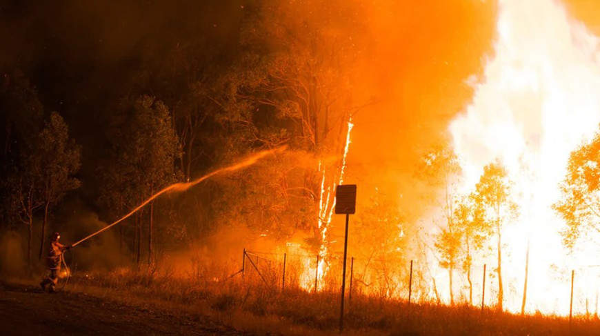 Из-за лесного пожара в штате Нью-Джерси эвакуировали 3 тыс. человек