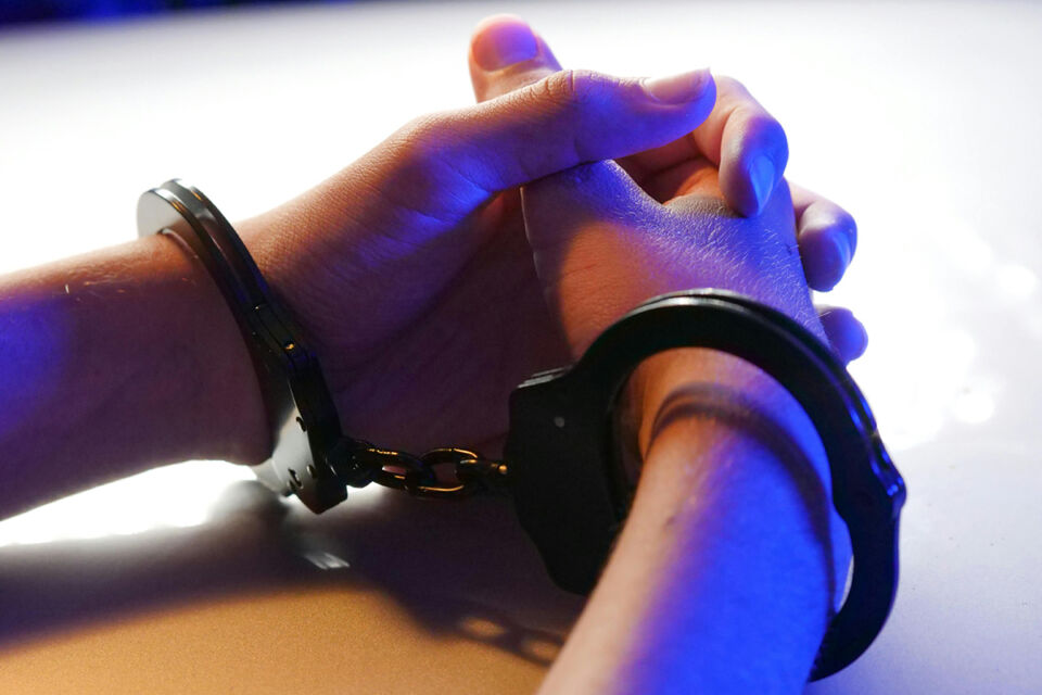 В Бобруйске задержали 18-летнюю закладчицу психотропов — ей грозит до 20 лет лишения свободы