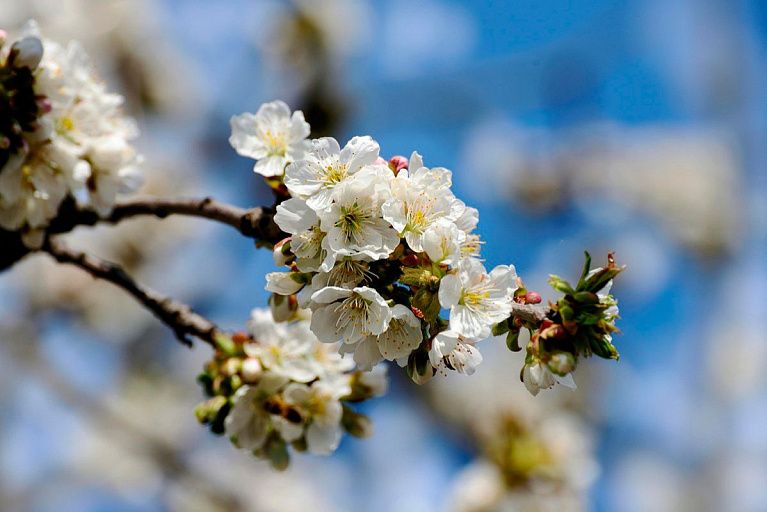 До +12°С, местами дожди. Какой будет погода в Беларуси