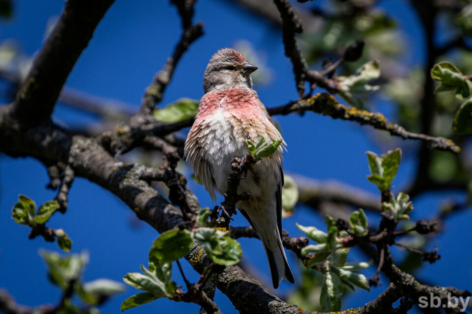 В Белстате рассказали, сколько денег направлено на охрану окружающей среды в 2024 году