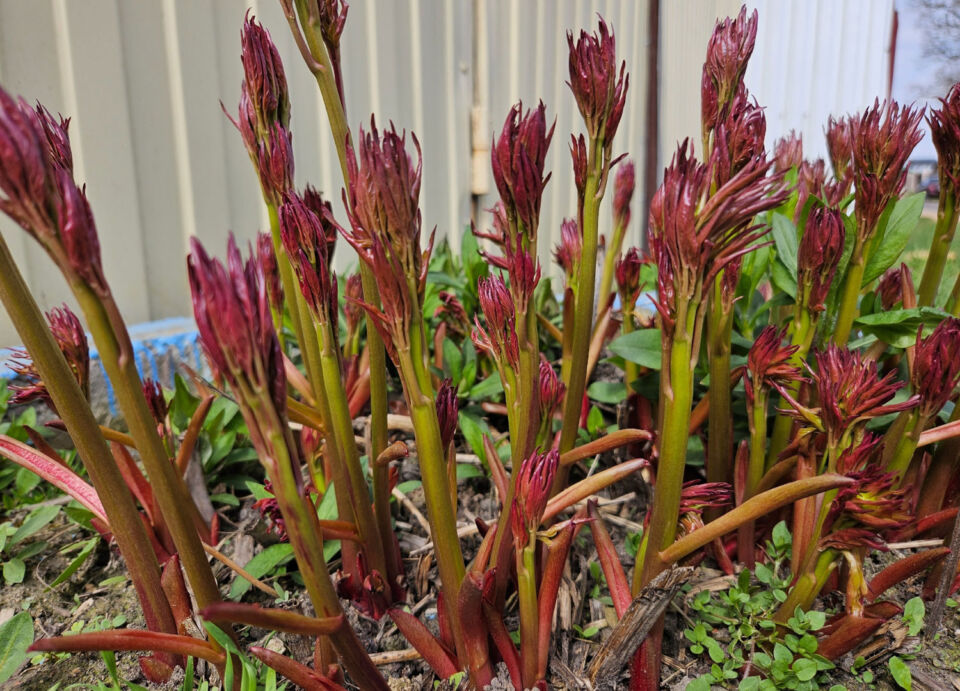 До +22°С ожидается сегодня в Беларуси