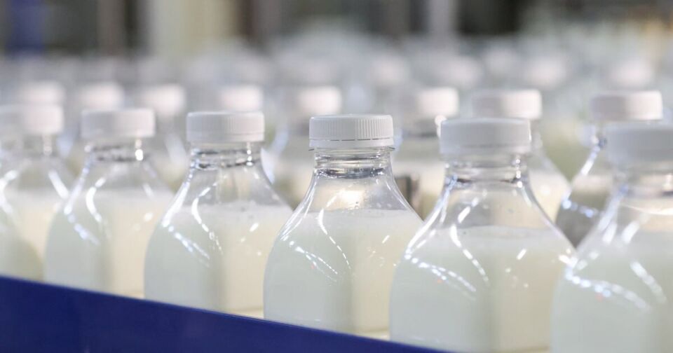 Молочка, мясо, минералка и не только: более 100 сертификатов «Натуральный продукт» действует в Беларуси