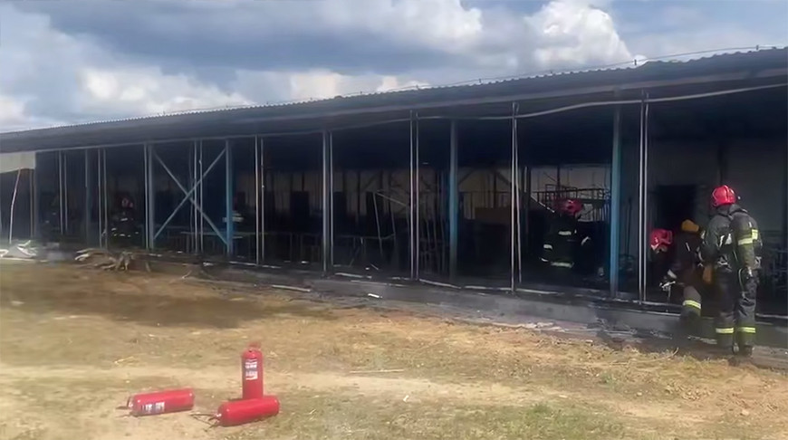 Около 40 телят эвакуировали из горящего телятника в Стародорожском районе