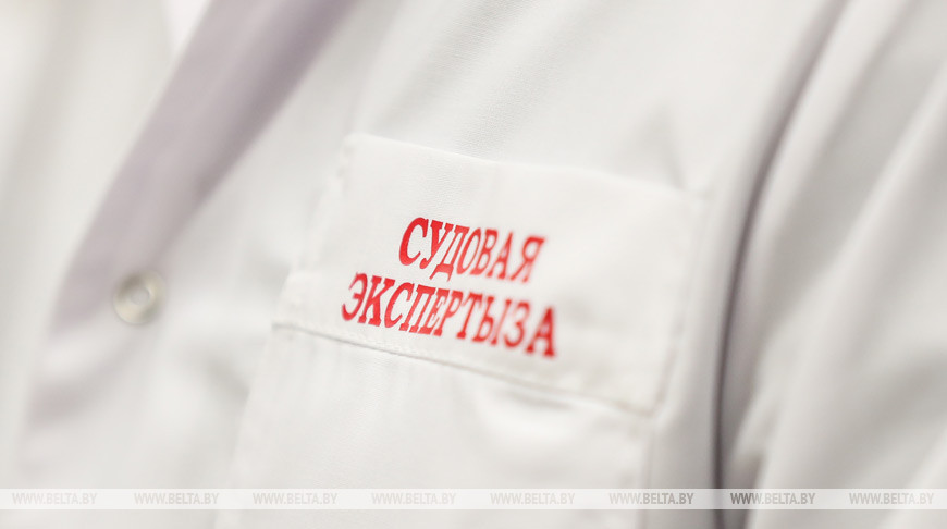 В Толочинском районе автопоезд смертельно травмировал мужчину, его личность установили судэксперты