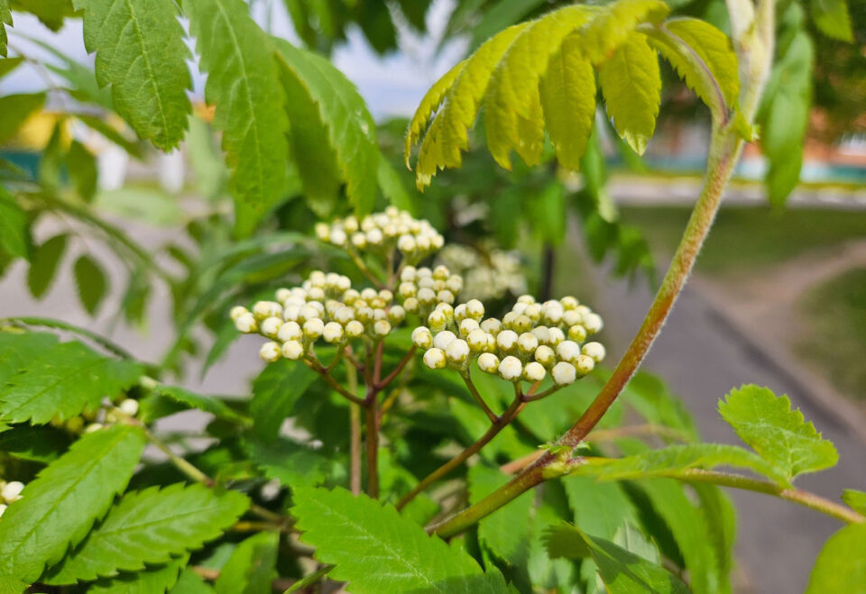Приметы и поверья на 28 мая: что нельзя делать в день Пахома Теплого
