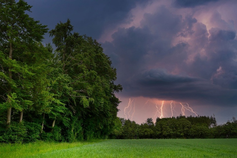В МЧС напомнили о факторах опасности в связи с грозами