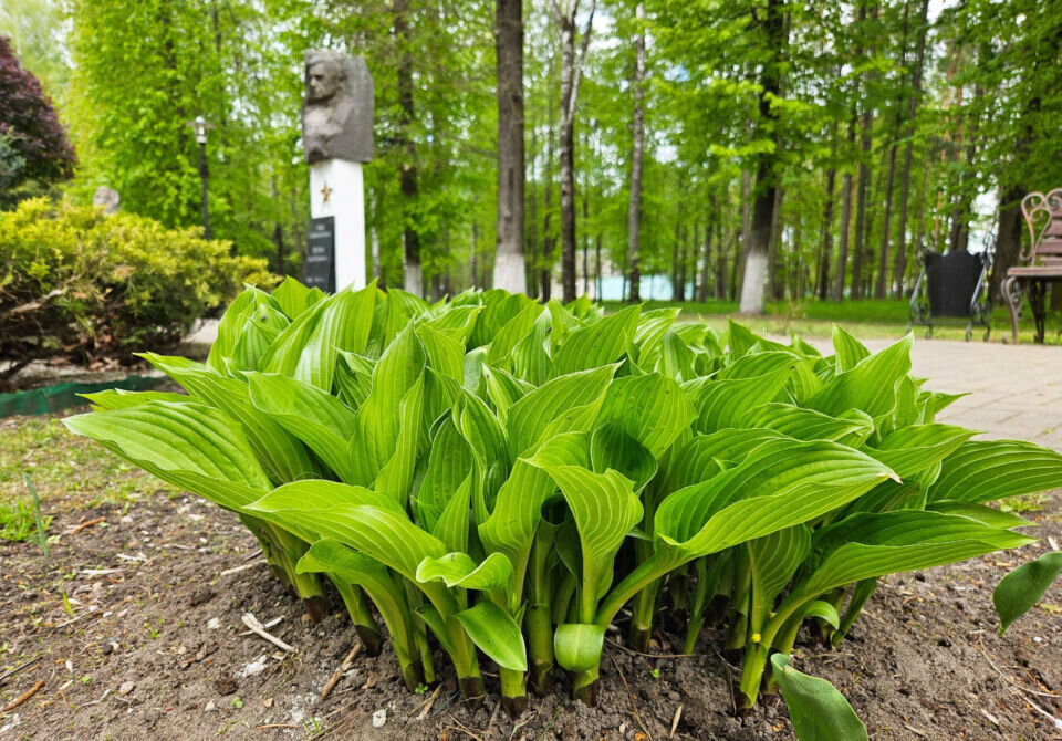 Кратковременные дожди и до +18°С. Какой будет погода в Беларуси