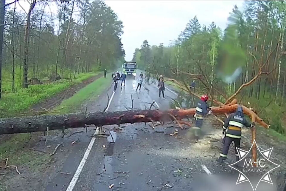Работники МЧС ликвидировали последствия непогоды в Беларуси