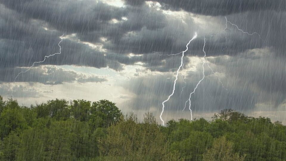 Ожидаются грозы и сильные дожди: в МЧС напомнили о факторах опасности