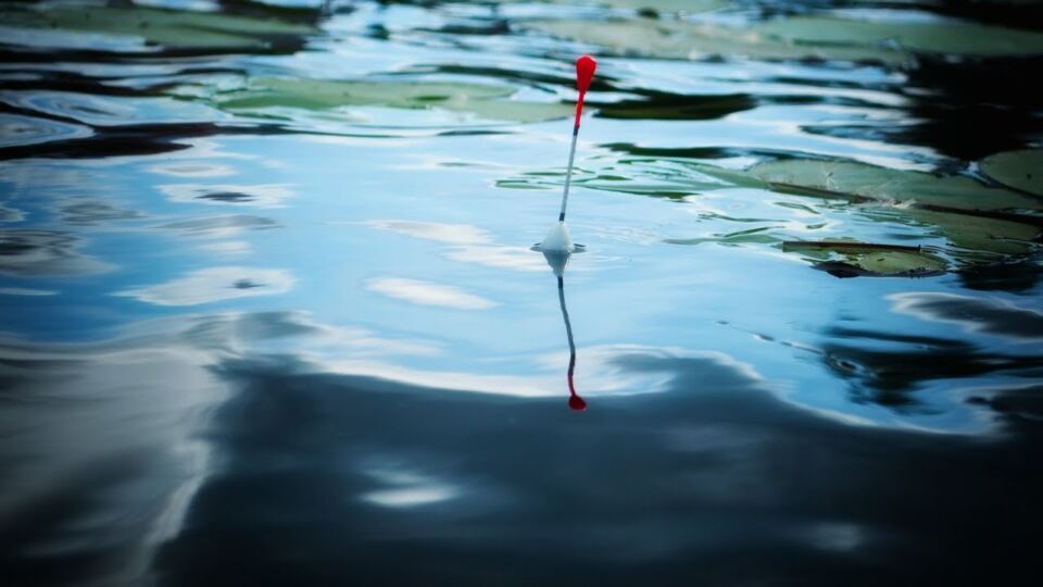 Три серьезных случая браконьерства в период нереста выявлено за прошедшую неделю