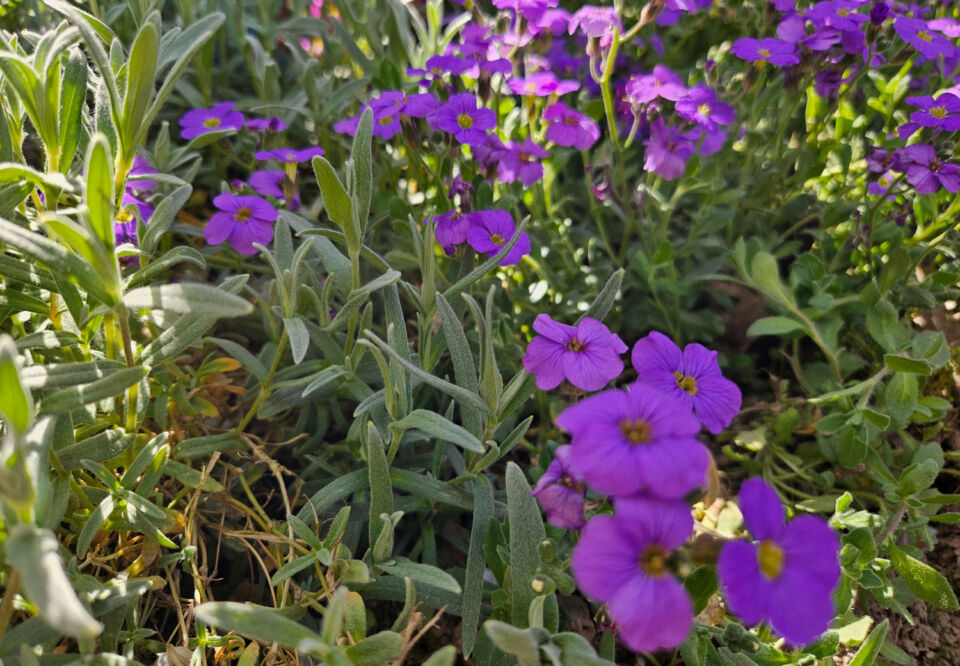 До +22°С и порывистый ветер. Какая погода будет в Беларуси 2 мая