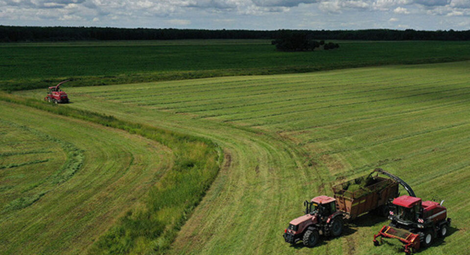 В Беларуси травы первого укоса скошены более чем на 23% площадей