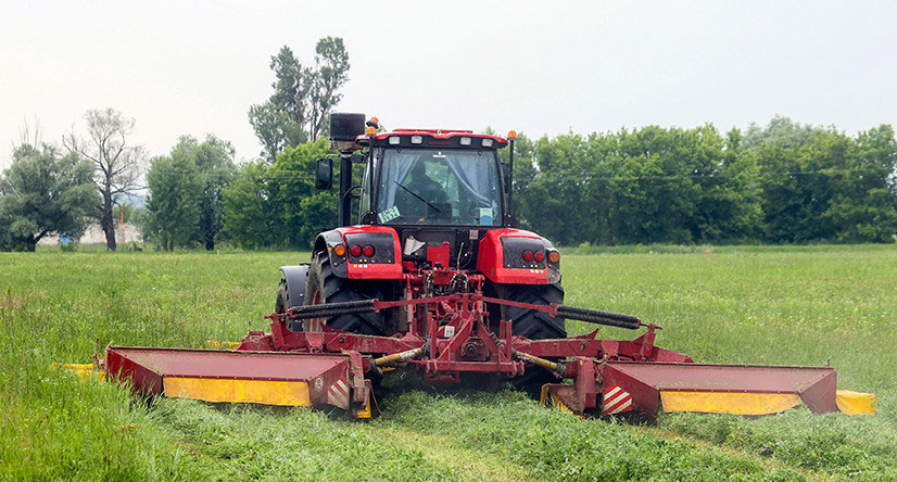 Аграрии Беларуси заготовили более 46% сенажа