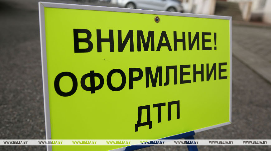 Мотоциклист погиб при столкновении с лосем в Глусском районе