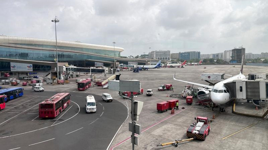 В индийском аэропорту задержали мужчину при попытке контрабанды 95 редких животных и птиц