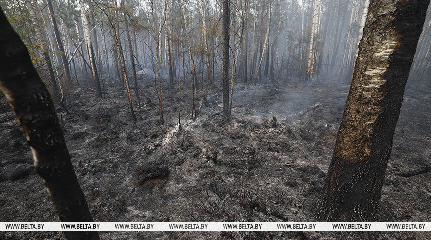 Лесные пожары охватили греческий остров Хиос, в ликвидации задействованы более 150 огнеборцев 