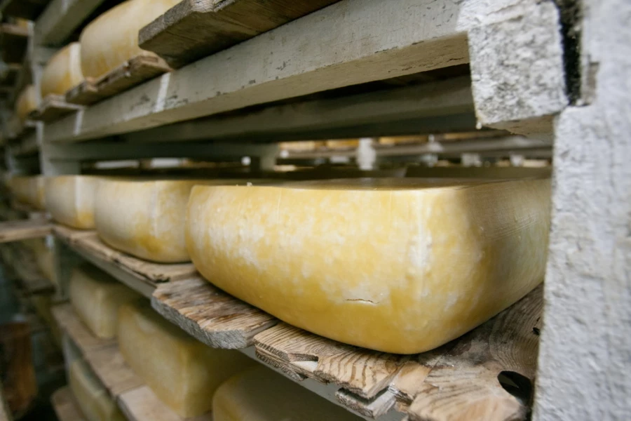 В январе-мае в Беларуси произвели сельхозпродукции на Br9,5 млрд