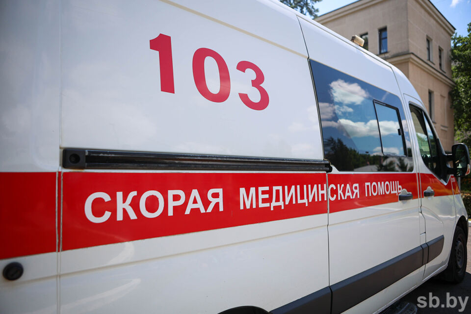 В Островецком районе шестилетний мальчик пострадал после нападения ротвейлера