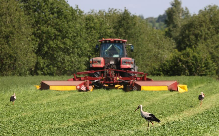 В Беларуси заготовлено около 60% трав первого укоса