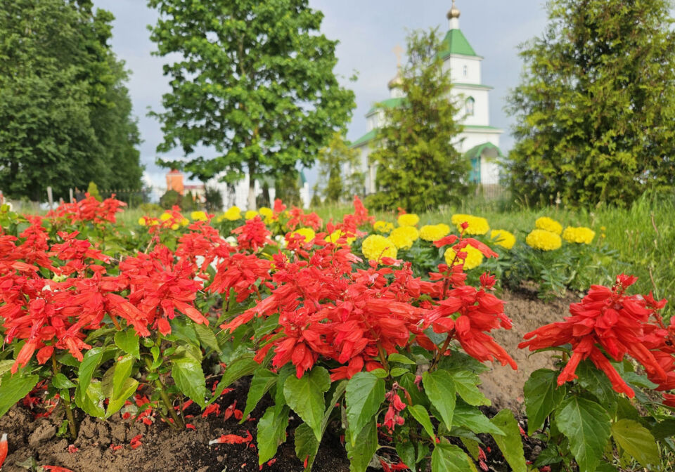 Преимущественно без осадков будет сегодня в Беларуси