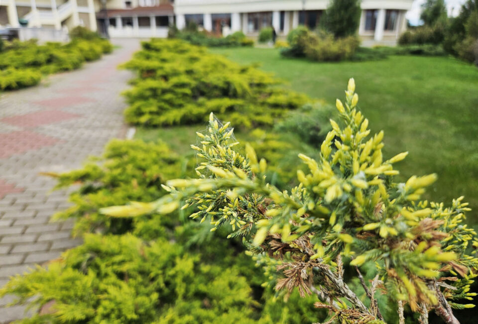 Кратковременные дожди и температура до +23°С ожидаются сегодня в Беларуси