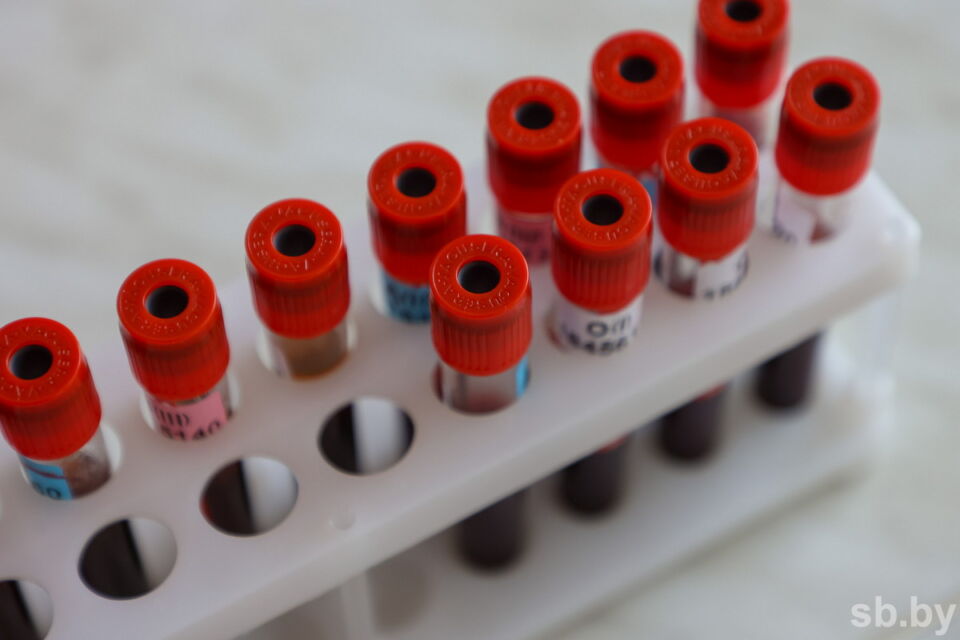 Институт генетики и цитологии НАН предложил новую услугу по установлению причин наследственных заболеваний