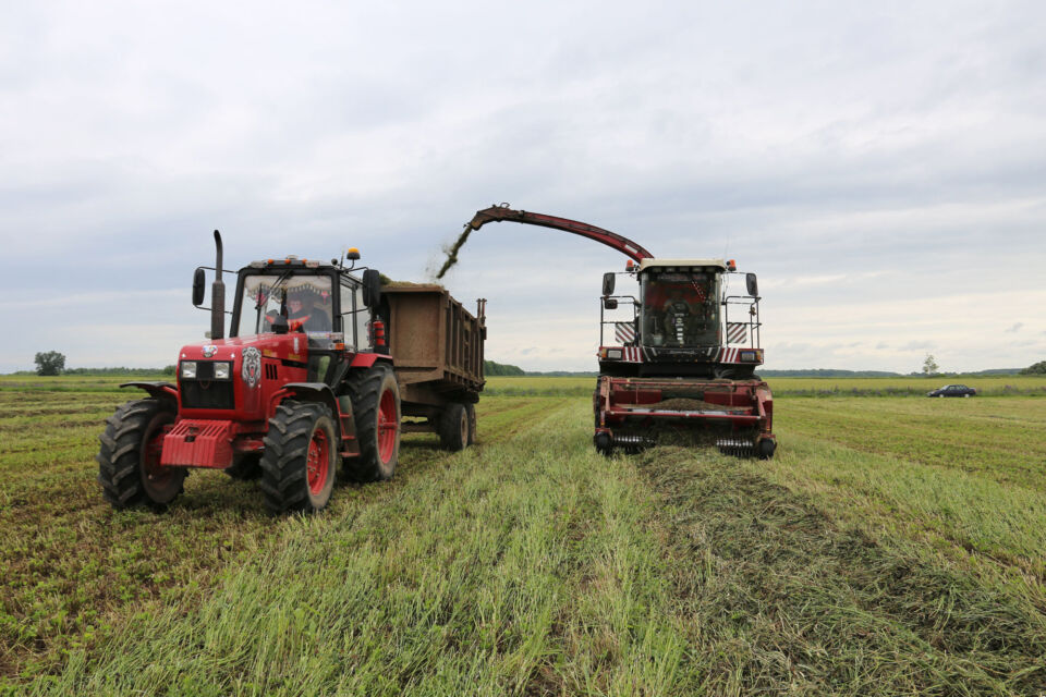 Главное в хозяйстве – трудовой резерв