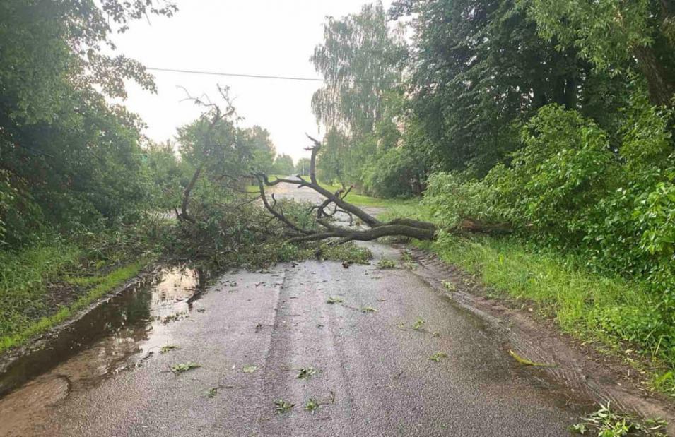 О последствиях непогоды в Могилевской области рассказали в МЧС