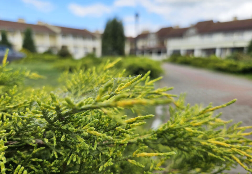 Кратковременные дожди, местами грозы и до +22°С ожидается в Беларуси 13 июня