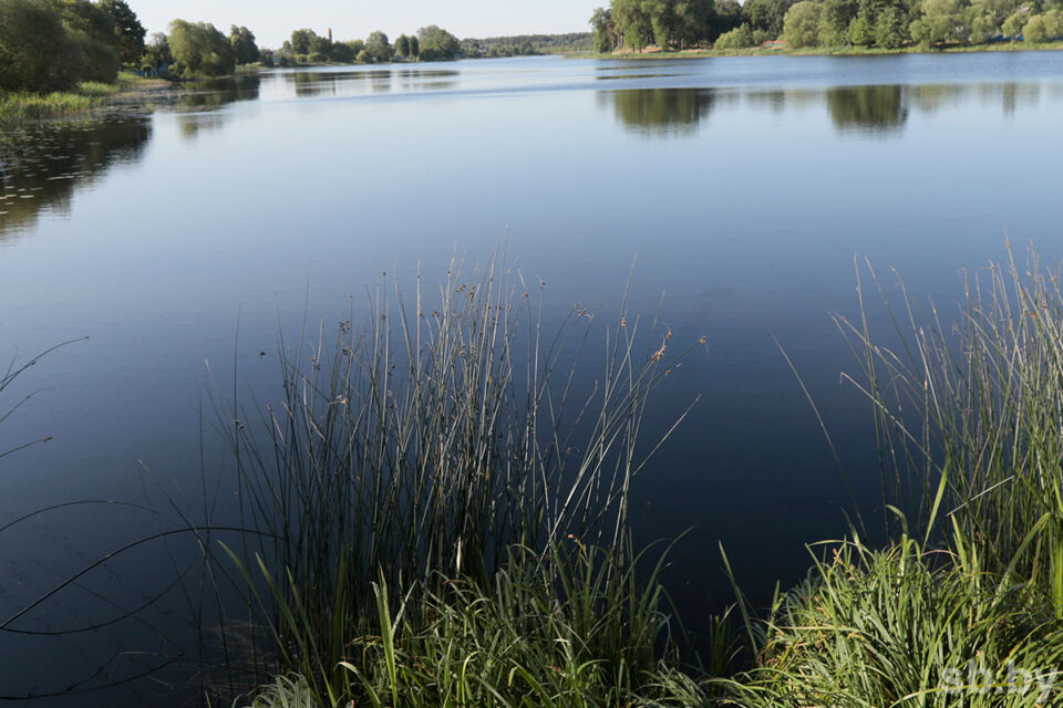 В Светлогорском районе в водохранилище утонул мужчина